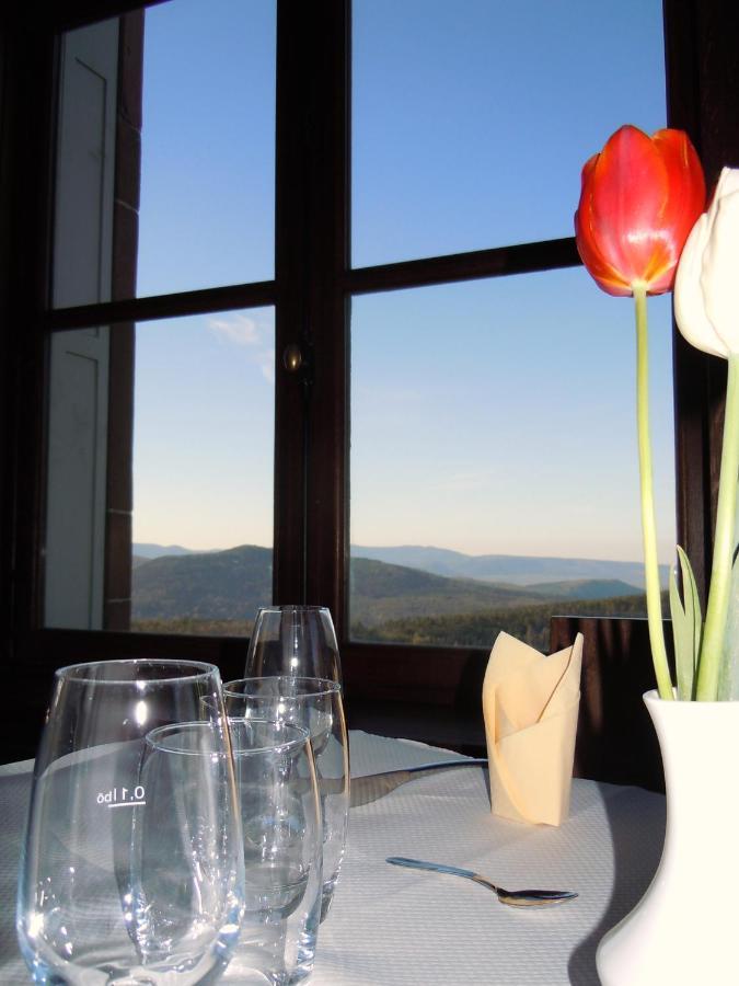 Hotel-Restaurant Mont Sainte-Odile Ottrott Εξωτερικό φωτογραφία